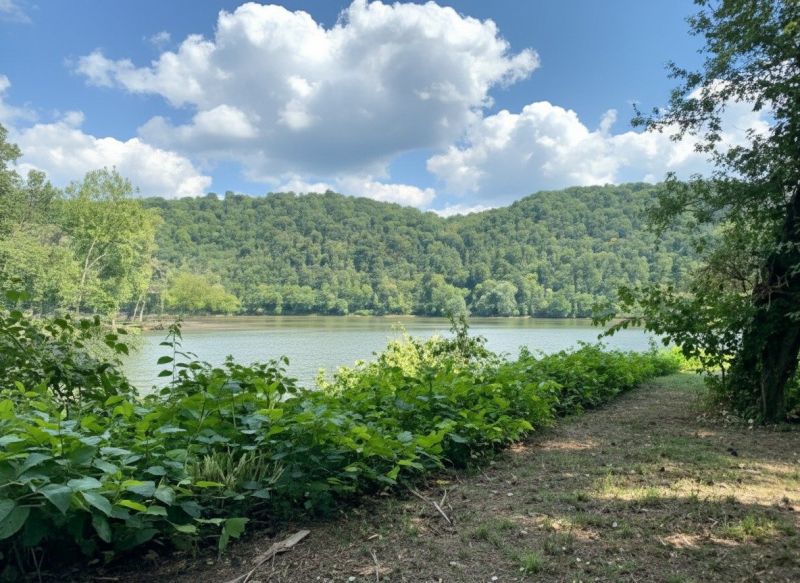 Indian Head, PA